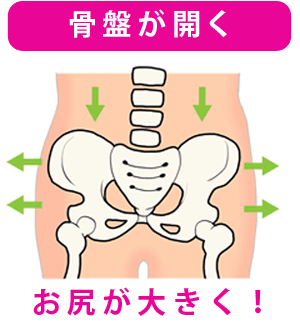 骨盤が開いた状態